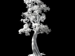 hundred forests-plants-cypress 3Dモデル