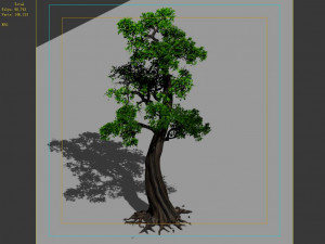 hundred forests-plants-cypress 3Dモデル