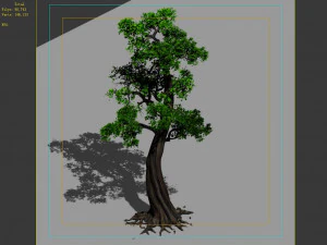 hundred forests-plants-cypress 3D Model