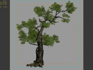 hundred forests-plants-cypress 235 3D Model