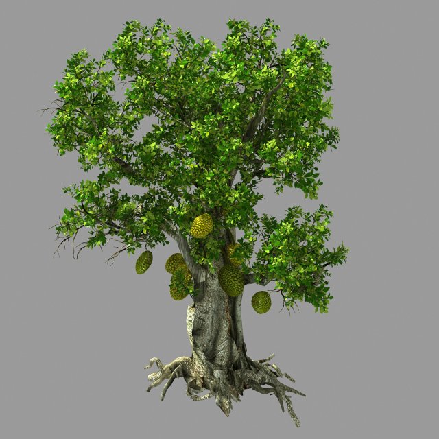 hundred forests-plants-jackfruit 21 3D Model .c4d .max .obj .3ds .fbx .stl .blend 