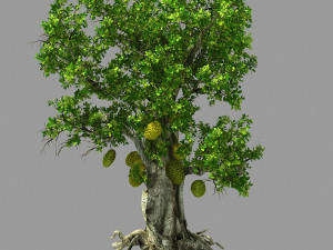 hundred forests-plants-jackfruit 21 3D 모델