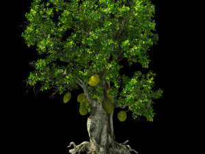 hundred forests-plants-jackfruit 21 3D Model