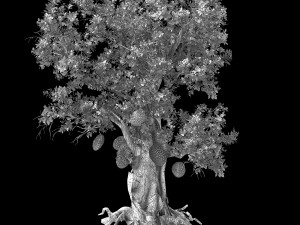 hundred forests-plants-jackfruit 21 3D Model