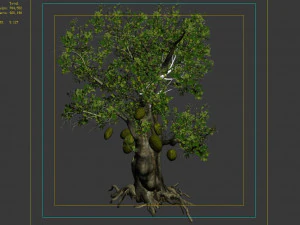 hundred forests-plants-jackfruit 21 3D Model