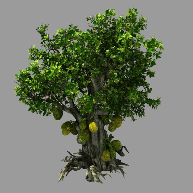 hundred forests-plants-jackfruit 23 3D Model .c4d .max .obj .3ds .fbx .stl .blend 