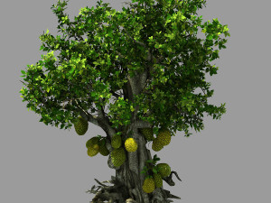hundred forests-plants-jackfruit 23 3D 모델