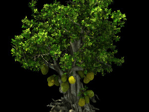 hundred forests-plants-jackfruit 23 3D Model