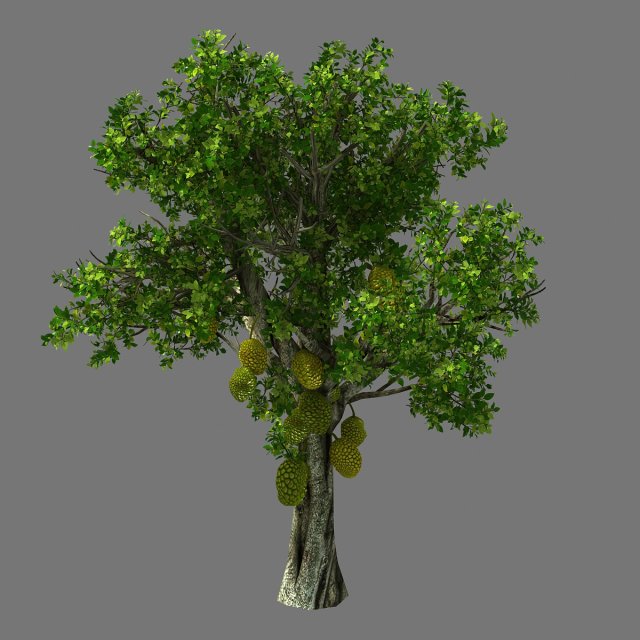 hundred forests-plants-jackfruit 25 3Dモデル .c4d .max .obj .3ds .fbx .stl .blend 