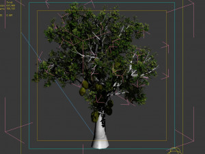 hundred forests-plants-jackfruit 25 3Dモデル