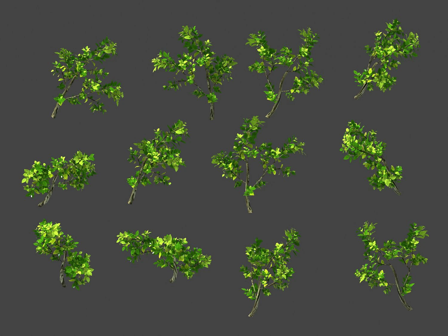 hundred forests-plants-jackfruit 26 3D Model .c4d .max .obj .3ds .fbx .stl .blend 