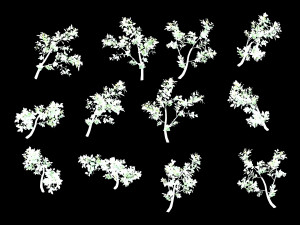 hundred forests-plants-jackfruit 26 3D Model