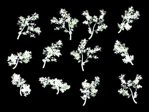 hundred forests-plants-jackfruit 26 3D Model