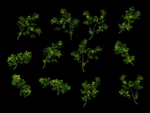 hundred forests-plants-jackfruit 26 3D Model