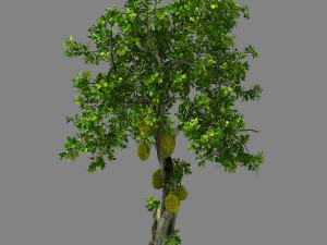hundred forests-plants-jackfruit 27 Modelo 3D