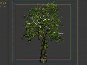 hundred forests-plants-jackfruit 27 3D Model