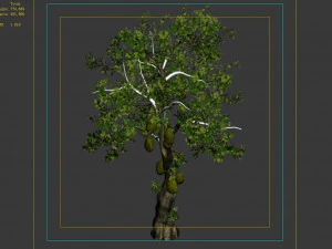 hundred forests-plants-jackfruit 27 3D Model