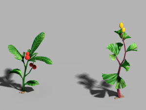 honderd bossen-planten-collectie-kruiden 02 3D Model