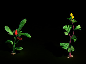 hundred forests-plants-collection-herbs 02 3D 模型