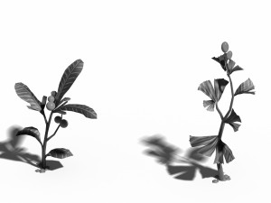 hundred forests-plants-collection-herbs 02 3D 模型