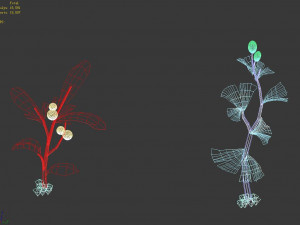 hundred forests-plants-collection-herbs 02 3D 模型