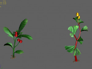 hundred forests-plants-collection-herbs 02 3D 模型