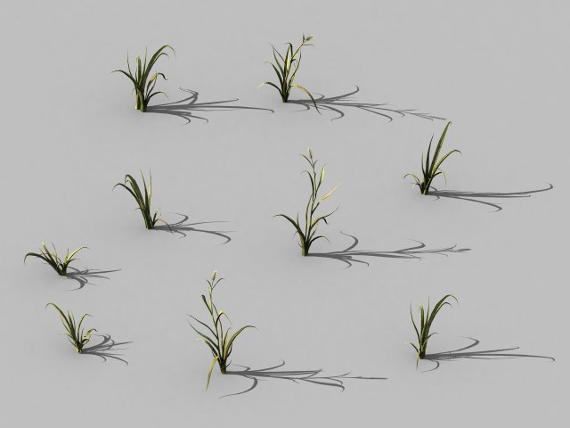 hundred forests-plants-grass 002 3Dモデル .c4d .max .obj .3ds .fbx .stl .blend 