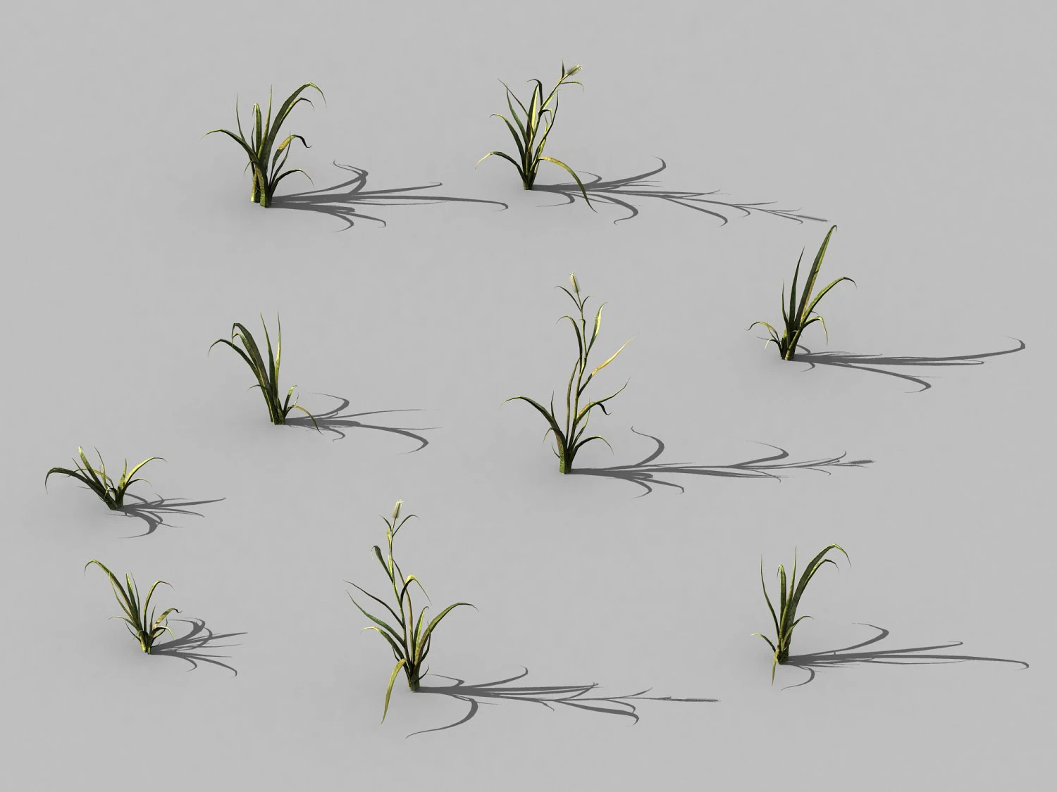 hundred forests-plants-grass 002 3D Model .c4d .max .obj .3ds .fbx .stl .blend