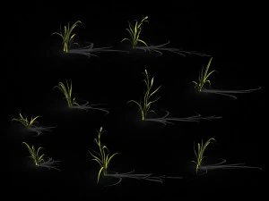 hundred forests-plants-grass 002 3D Model