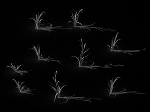 hundred forests-plants-grass 002 3Dモデル