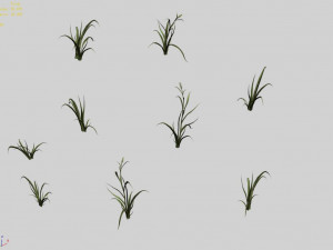 hundred forests-plants-grass 002 3Dモデル