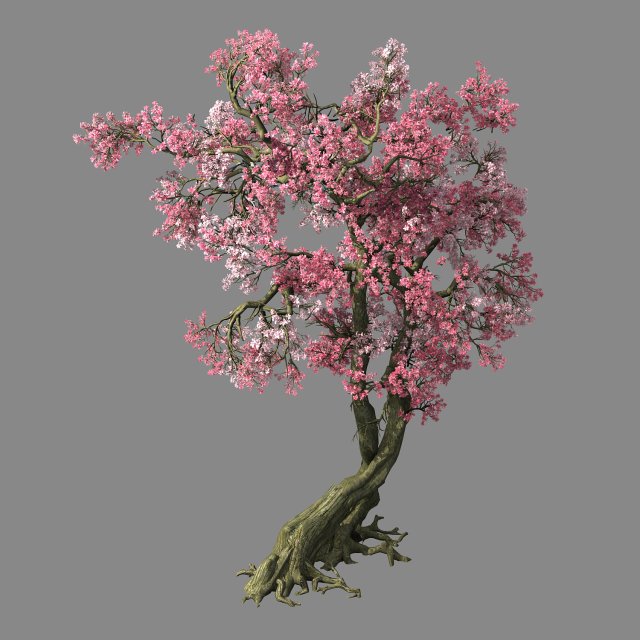 hundred forests-plants-pink flower tree 01 3D Модель .c4d .max .obj .3ds .fbx .stl .blend 