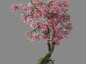 hundred forests-plants-pink flower tree 01 3D Model