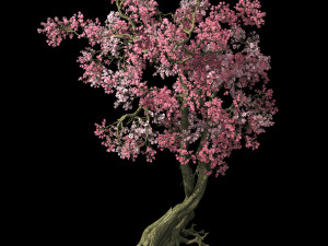 hundred forests-plants-pink flower tree 01 3D Модель