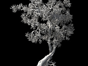 hundred forests-plants-pink flower tree 01 3D Модель