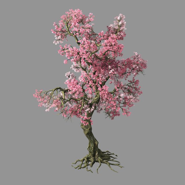 hundred forests-plants-pink flower tree 02 3Dモデル .c4d .max .obj .3ds .fbx .stl .blend 