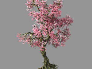 honderd bossen-planten-roze bloemboom 02 3D Model