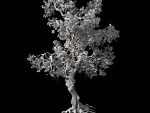 hundred forests-plants-pink flower tree 02 3Dモデル