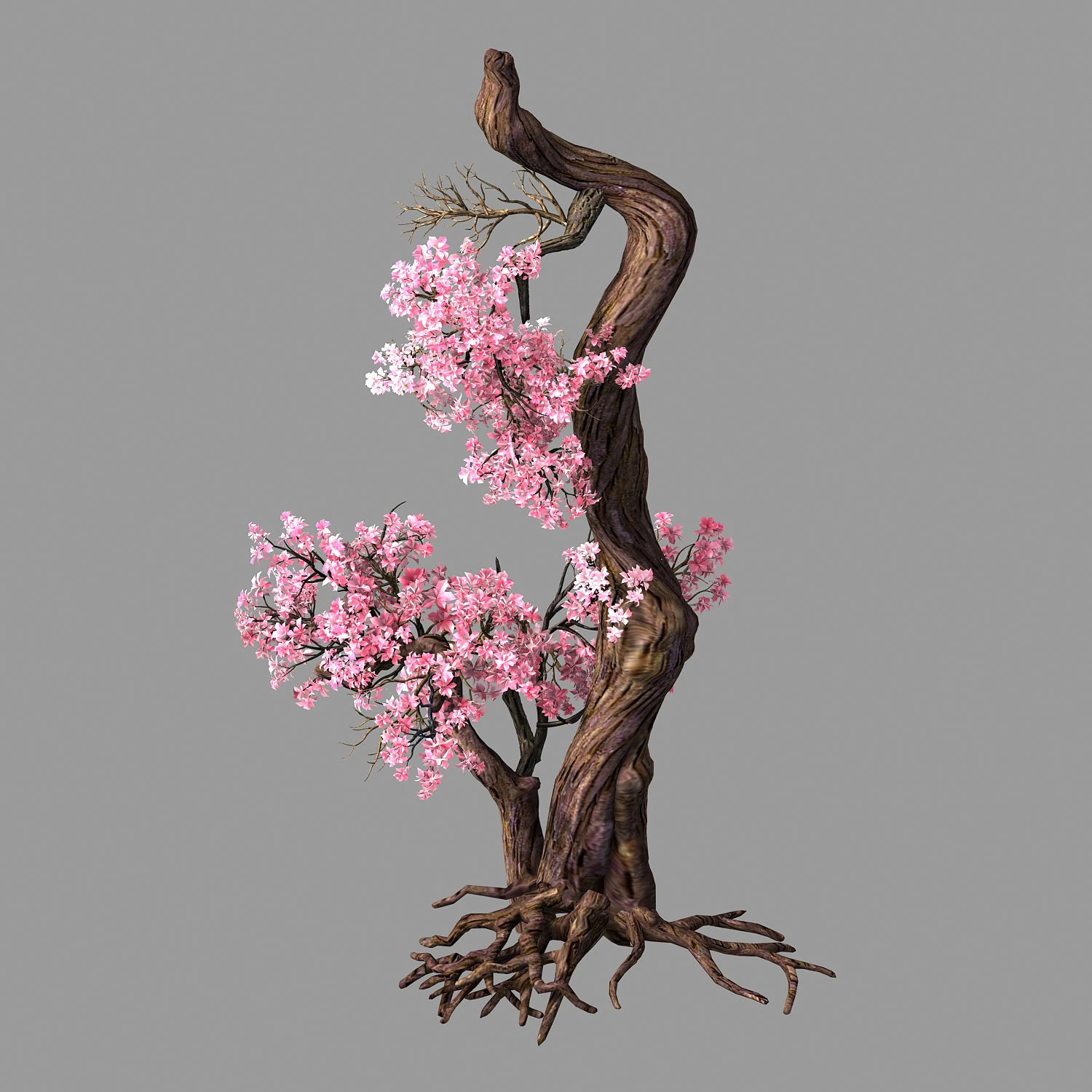 hundred forests-plants-pink flower tree 03 3D Model .c4d .max .obj .3ds .fbx .stl .blend