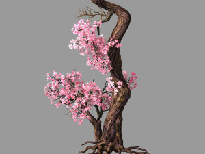 hundred forests-plants-pink flower tree 03 3D Model