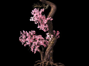 hundred forests-plants-pink flower tree 03 Modelo 3D