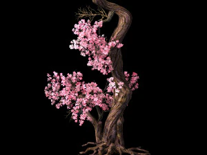 hundred forests-plants-pink flower tree 03 3D Model