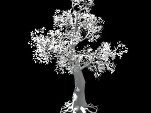 hundred forests-plants-acacia 01 3D Model
