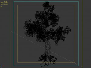hundred forests-plants-acacia 01 3D Model