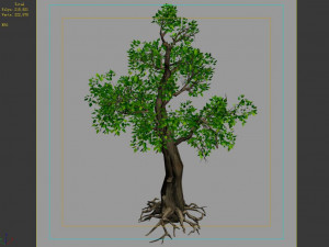 hundred forests-plants-acacia 01 3D Модель