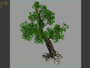 hundred forests-plants-acacia 02 3D Модель