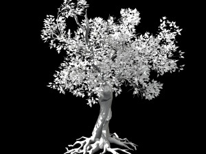 hundred forests-plants-acacia 03 Model 3D