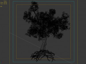 hundred forests-plants-acacia 03 Model 3D