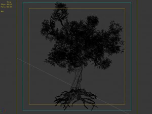 hundred forests-plants-acacia 03 3D Model
