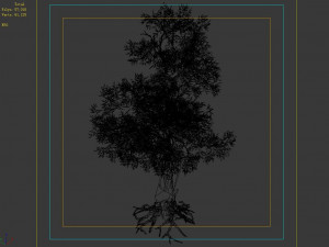 hundred forests-plants-acacia 04 3D 模型
